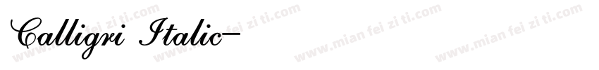 Calligri Italic字体转换